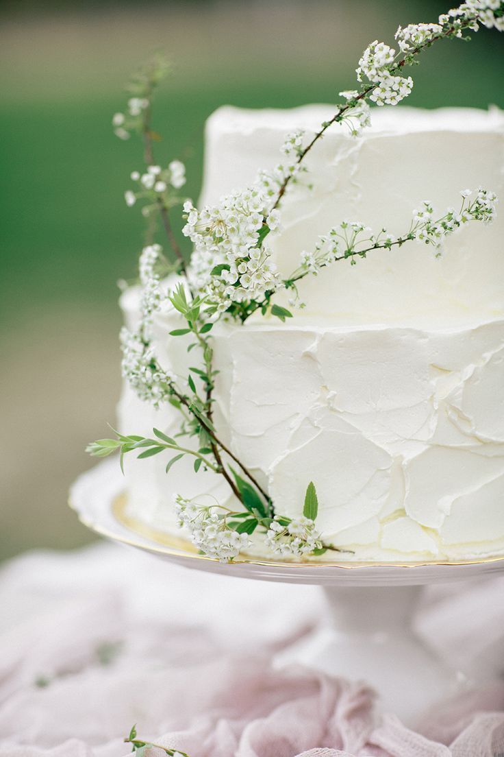 Spring Garden Wedding in Moscow -   10 minimal cake Simple ideas