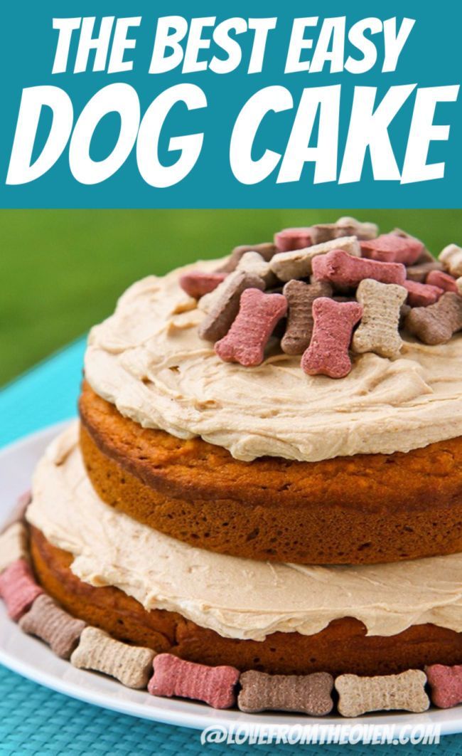 Best Dog Cake Recipe -   11 cake ingredients friends ideas