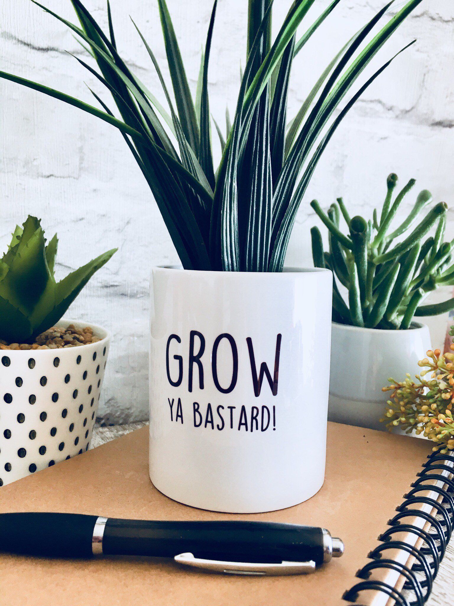 Plant pot, planter, cactus pot, Rude gift, gift for women, funny plant pot, gift for her, friend birthday gift, swear, funny gift for friend -   11 funny plants Potted ideas