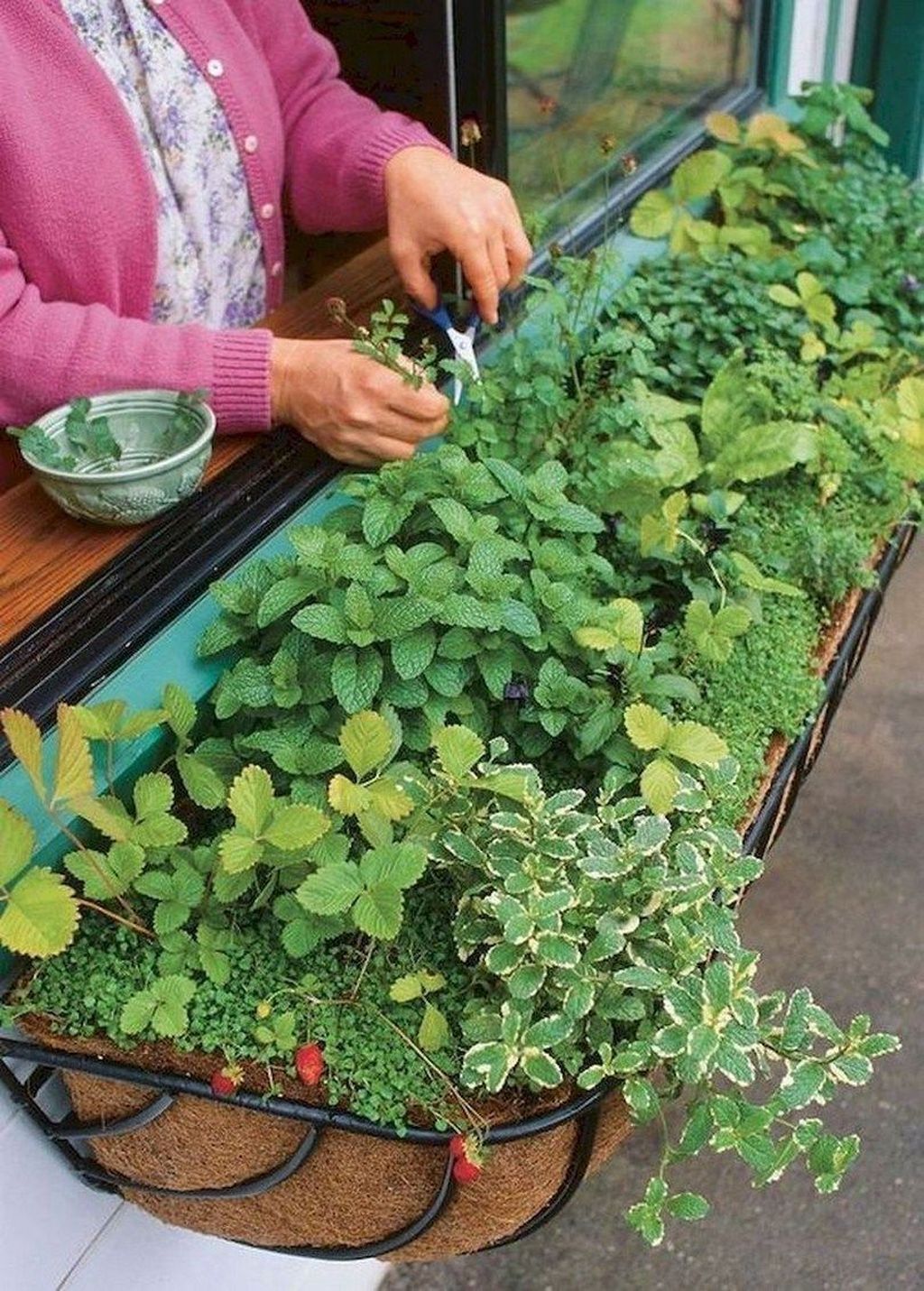 20+ Chic Herb Garden Design And Remodel Ideas To Try Right Now -   12 garden design House window ideas