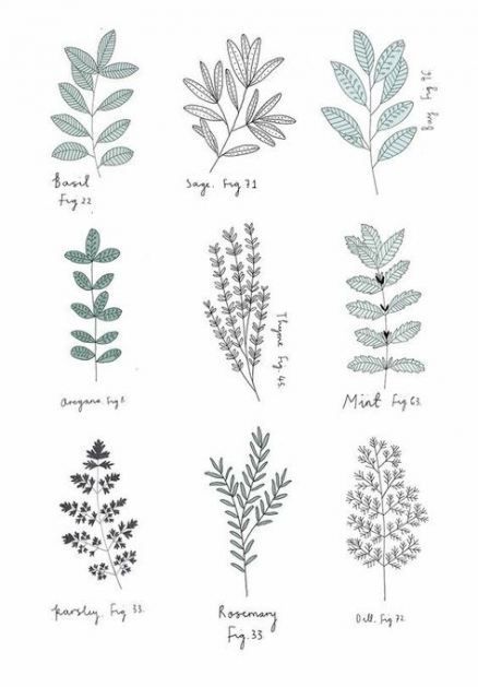 Tattoo nature simple plants leaves 66+  Ideas -   12 plants Drawing nature ideas
