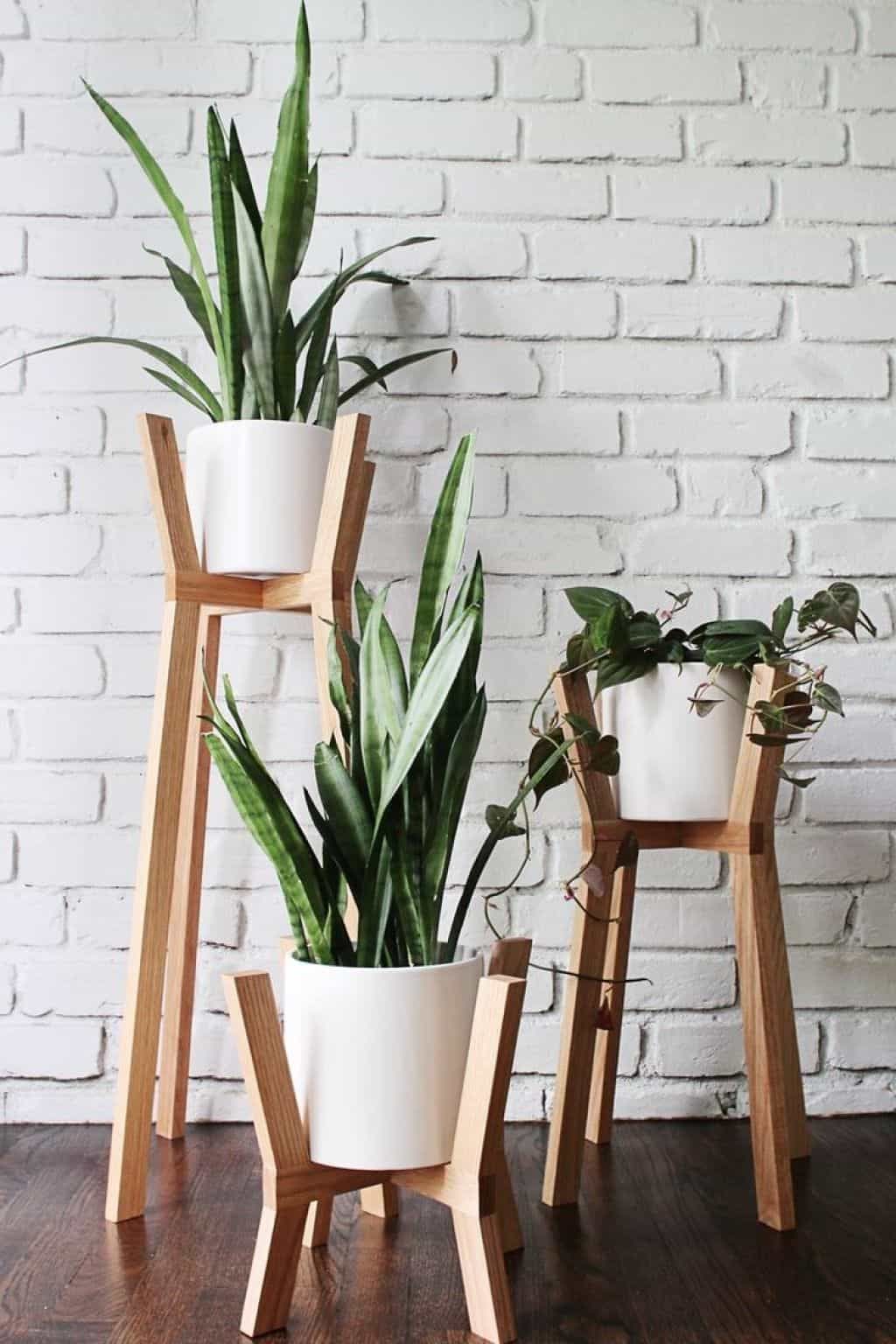 13 pidestall plants Stand ideas