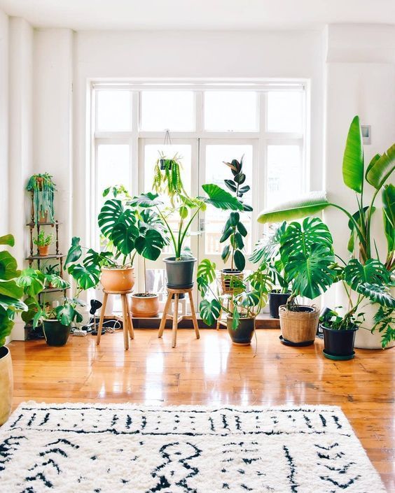 60+ Plant Stand Design Ideas for Indoor Houseplants -   13 planting Interior indoor ideas