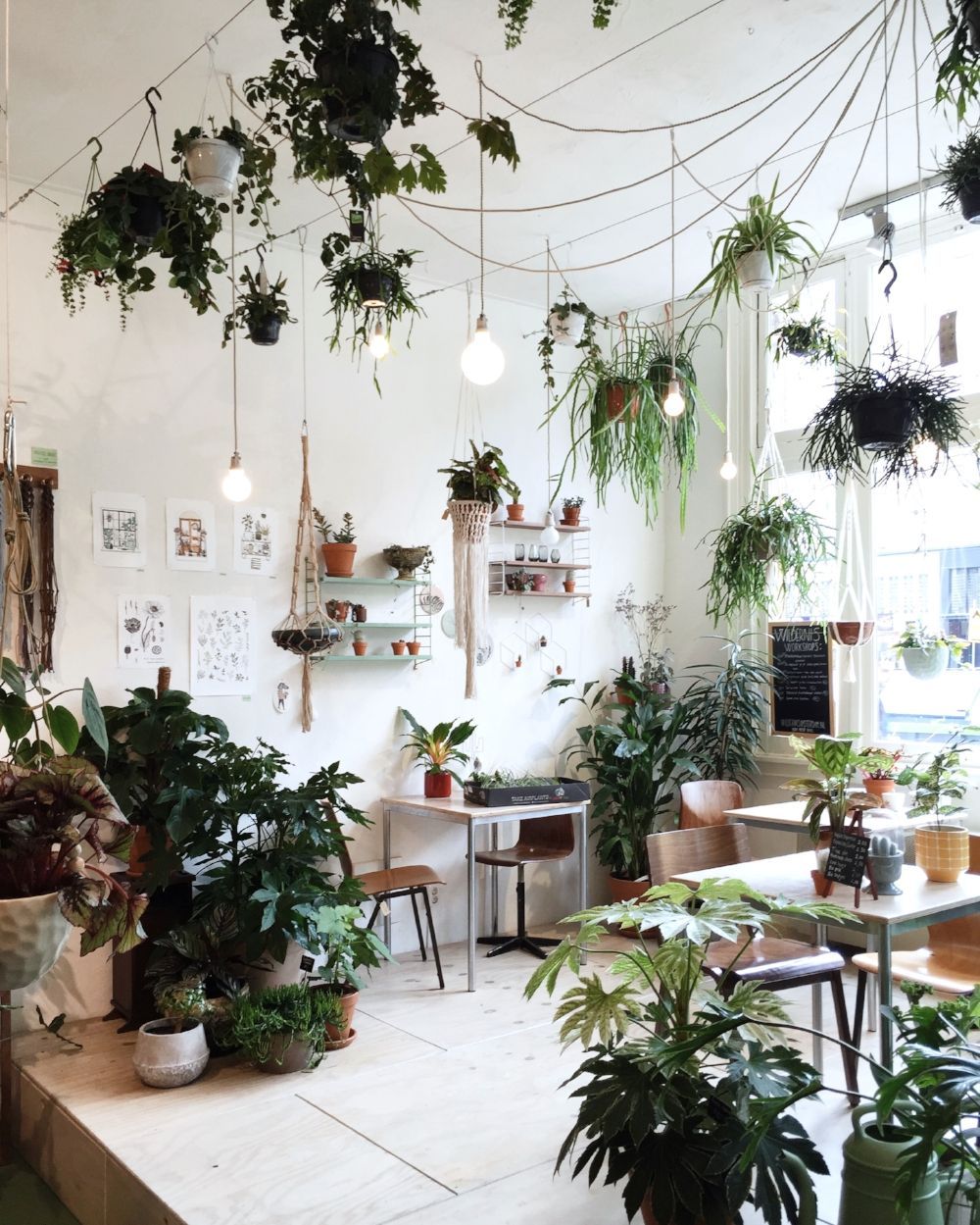 Green Amsterdam -   15 electrical plants Room ideas