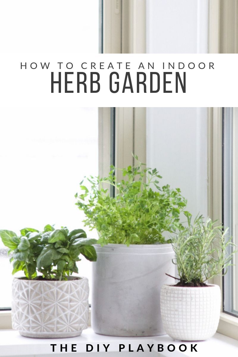 How To Create A Fresh Herb Garden -   15 planting Indoor kitchen ideas