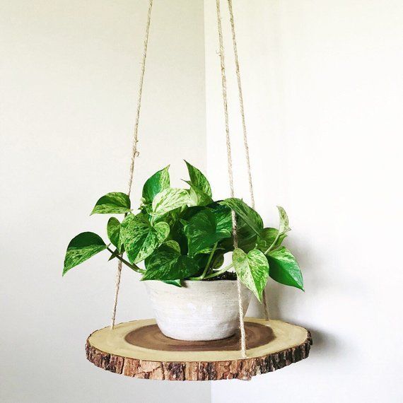 Wood slab slice floating hanging planter shelf table -   15 plants Interior wood ideas