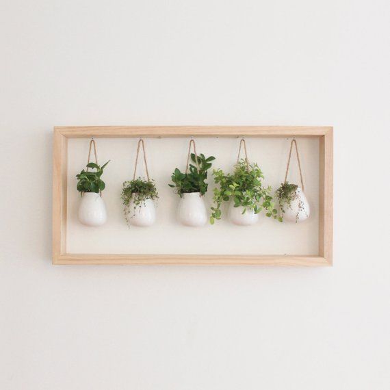 Indoor Herb Garden in Wooden Frame | Wall Mount Planter | Plant Gift | Fall Decor | Hanging Planter | Pot for Indoor Plants -   15 small planting Decor ideas