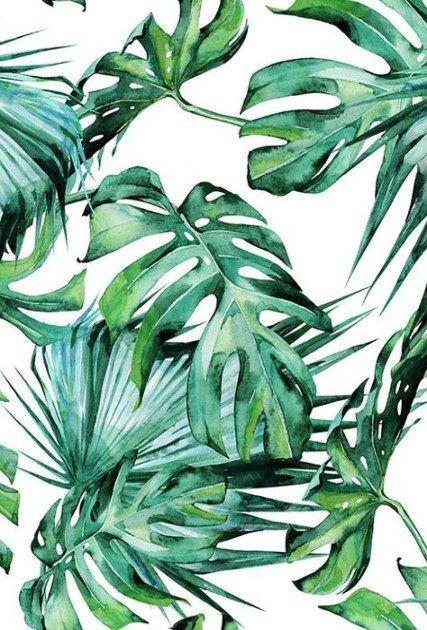 Plants Illustration Art Leaves 29 Super Ideas -   16 planting Art leaves ideas