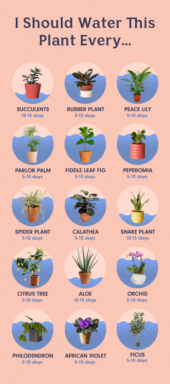 17 plants Green backyards ideas