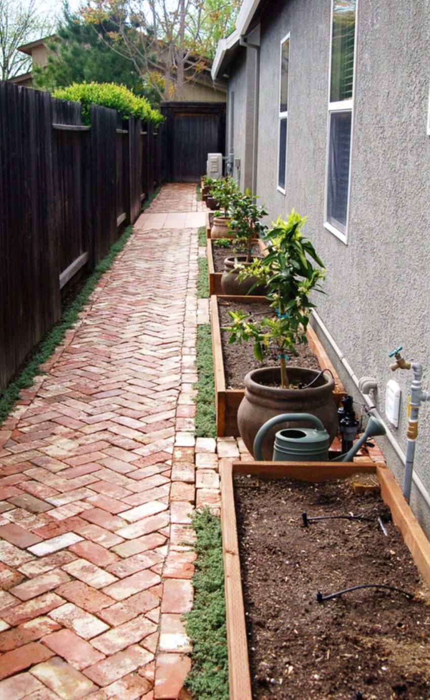18 backyard planting ideas