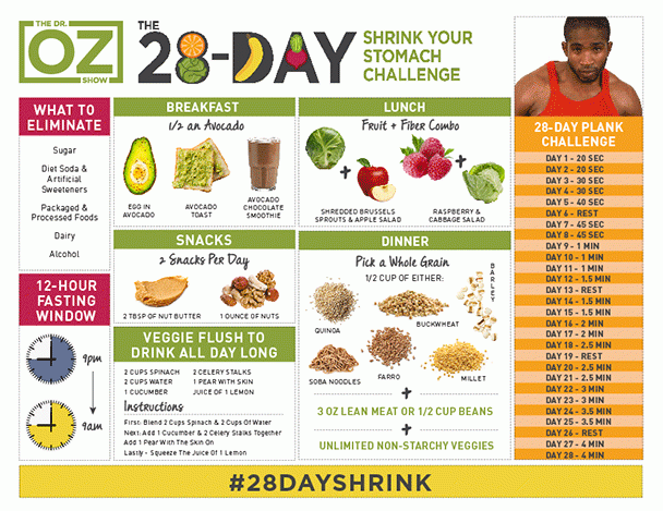 28 Day Shrink Your Stomach Challenge Recipes on Dr Oz, Food Chart -   6 diet Menu dr. oz ideas