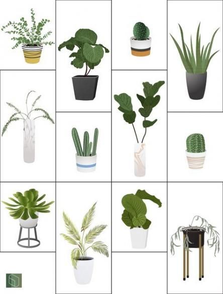 6 plants Illustration png ideas