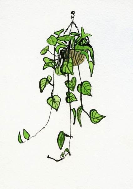 Plants Sketch Hanging 18 Ideas -   7 planting Sketch aesthetic ideas