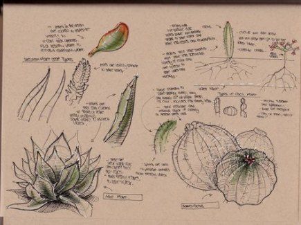 7 planting Sketch aesthetic ideas