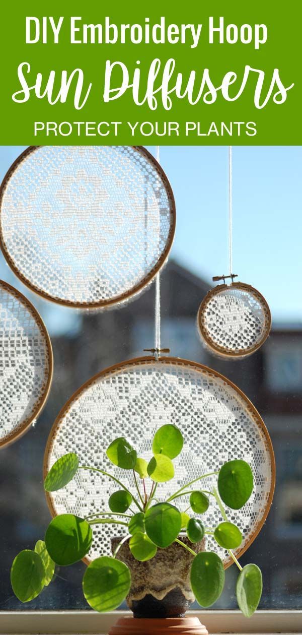DIY Embroidery Hoop Window Sun Diffuser -   7 plants Bathroom windowsill ideas