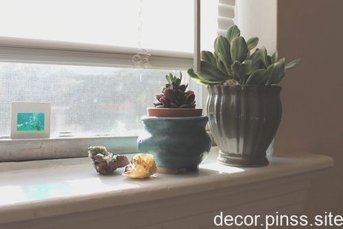 Bathroom windowsill -   7 plants Bathroom windowsill ideas