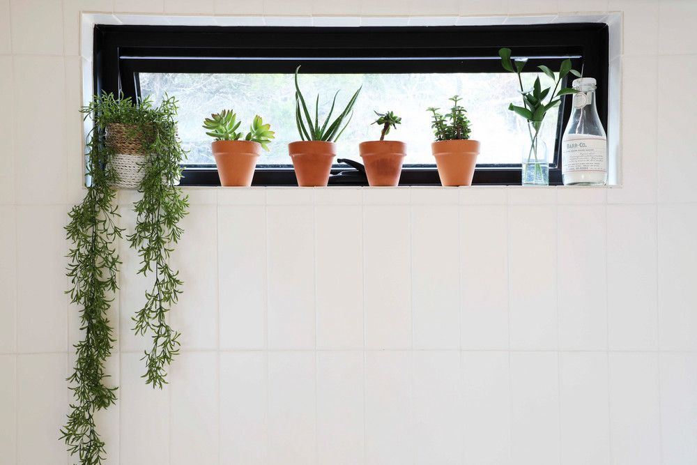 This Colorful, 560 Square-Foot Home is a Small-Space Dream -   7 plants Bathroom windowsill ideas