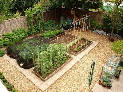 Things We Love: Kitchen Gardens -   8 garden design Layout no grass ideas