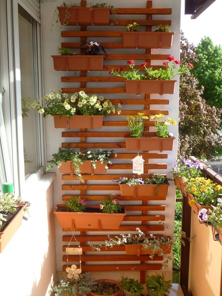 jardinage vertical, id?es de petits balcons, treillis, fleurs d'?t? -   8 planting Balcony trellis ideas