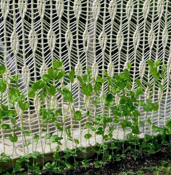 4 Unique DIY Crochet Trellis Ideas For Garden -   8 planting Balcony trellis ideas
