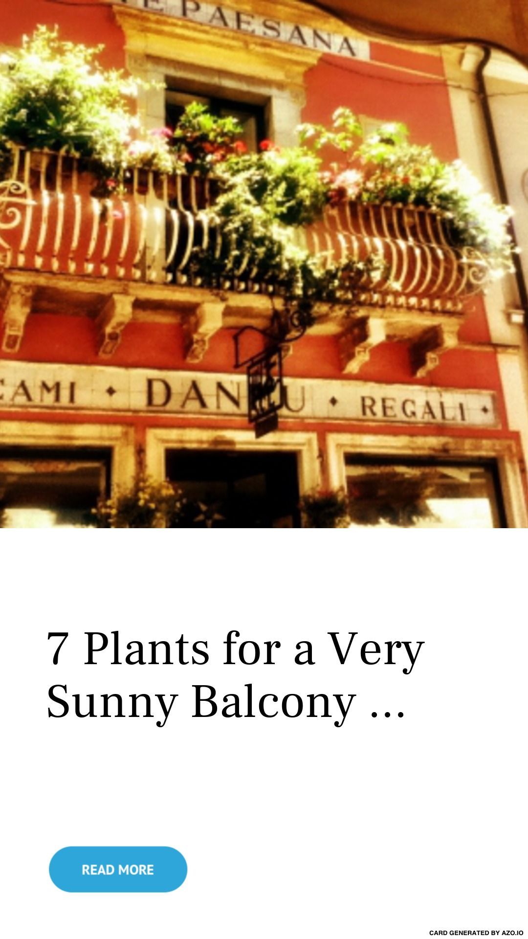 7 Plants for a Very Sunny Balcony ... -   10 planting Balcony sunny ideas