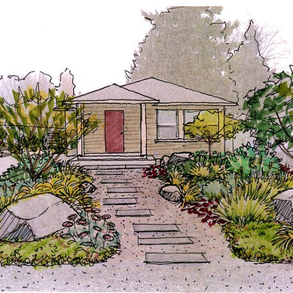 From Concept to Reality, a Garden Designer's Journey -   11 garden design Drawing beautiful ideas