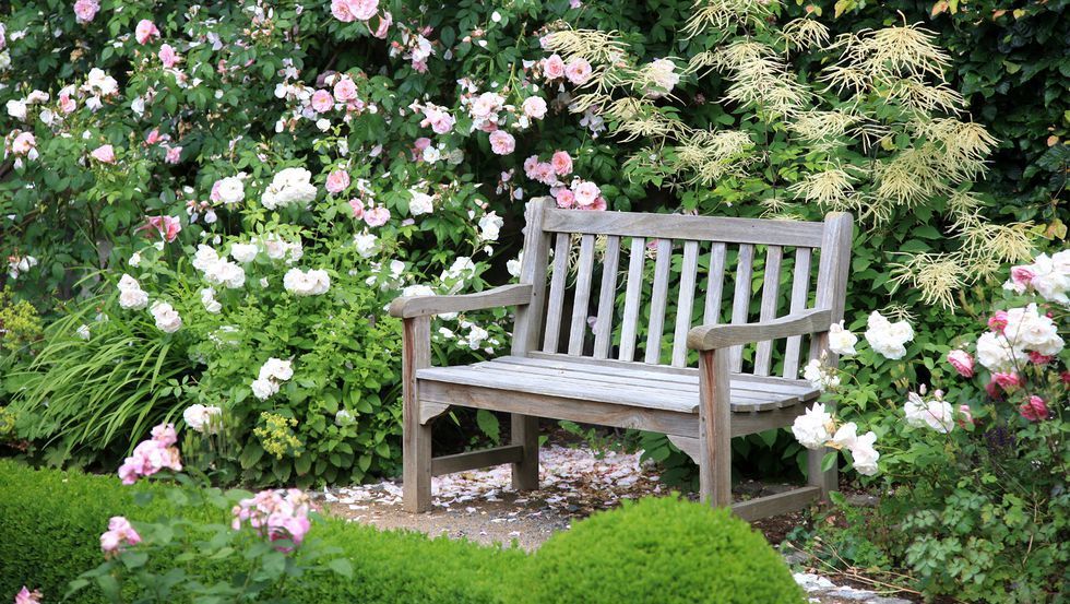 10 Ways to Plant a Beautiful English Garden -   11 garden design Drawing beautiful ideas