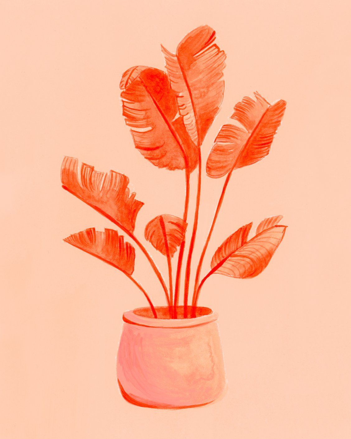 Coral Banana Plant Art Print by curiousdarling -   11 planting Art colour ideas