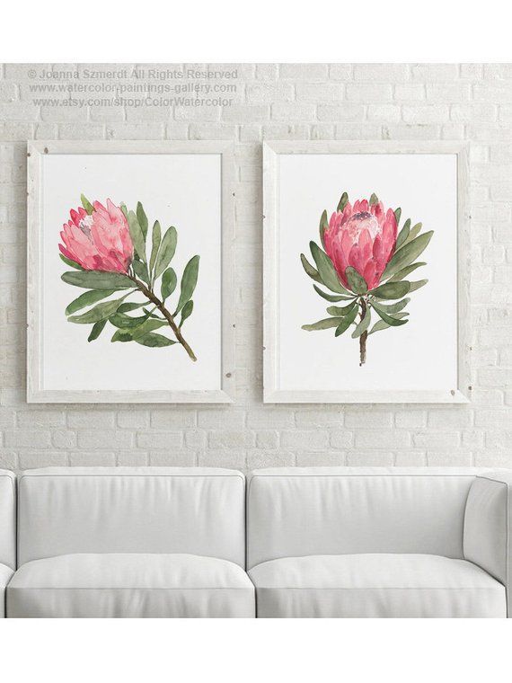 Protea Flowering Plant Art Print Pink Flower Green Leaves set 2 Paintings Minimalist Wall Decoration Canvas Illustration two Flowers Poster -   11 planting Art colour ideas