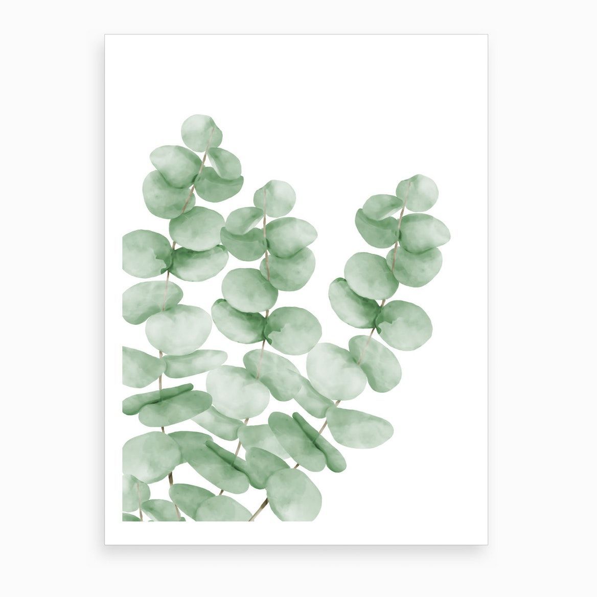 Watercolor Eucalyptus Leaves Art Print -   11 planting Art colour ideas