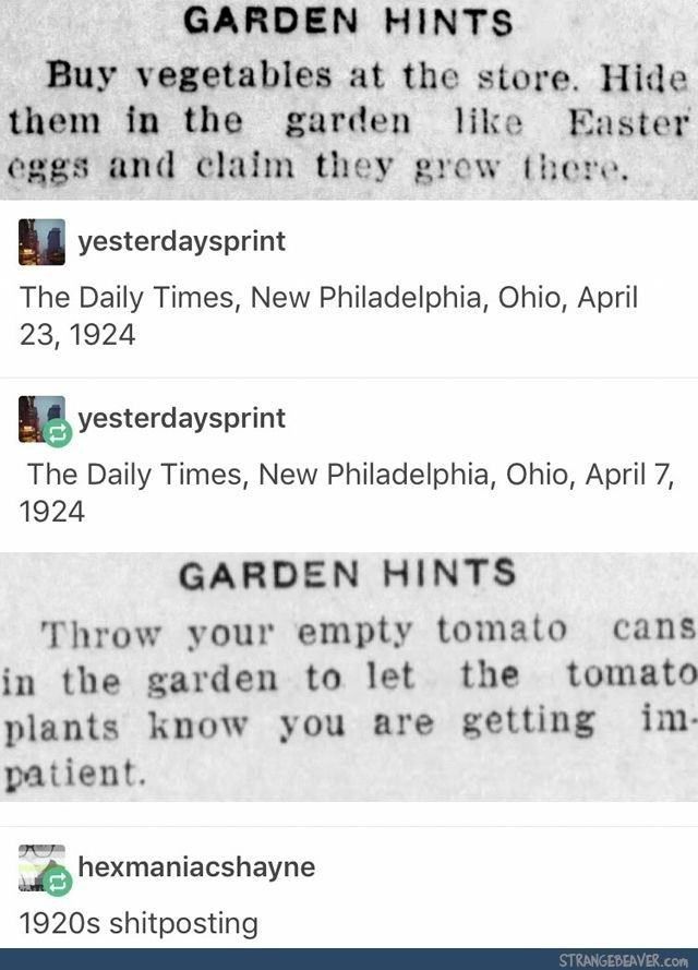 19 Fascinating & Funny Tumblr Posts About History -   11 plants Tumblr posts ideas