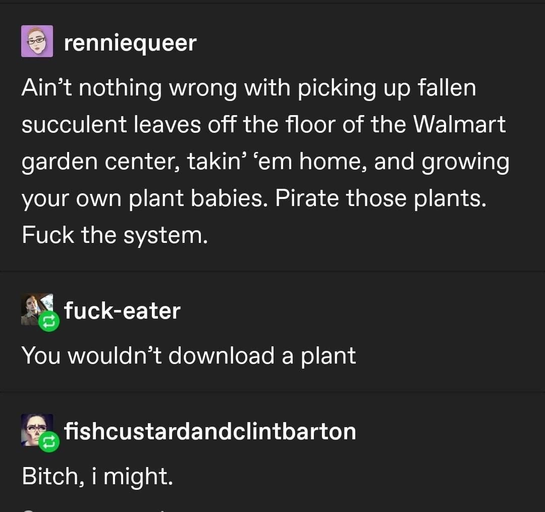 11 plants Tumblr posts ideas