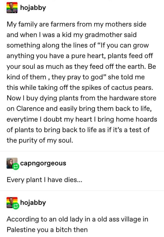11 plants Tumblr posts ideas