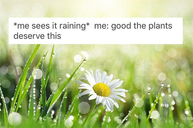 21 Jokes About Plants That Will Make You Love And Fear Them -   11 plants Tumblr posts ideas