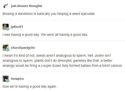 Tasty Tumblr Posts That Are Weird But Good -   11 plants Tumblr posts ideas