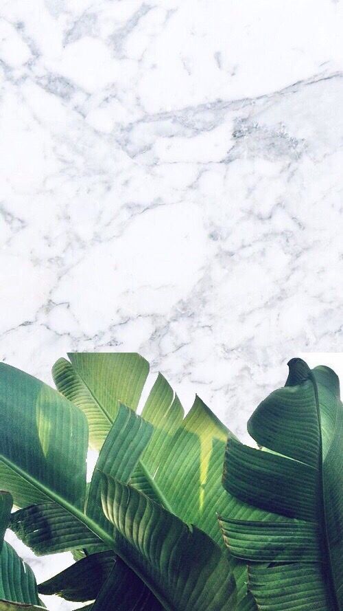 marble. white. background. plants. green. - Backgrounds -   12 marble plants Wallpaper ideas