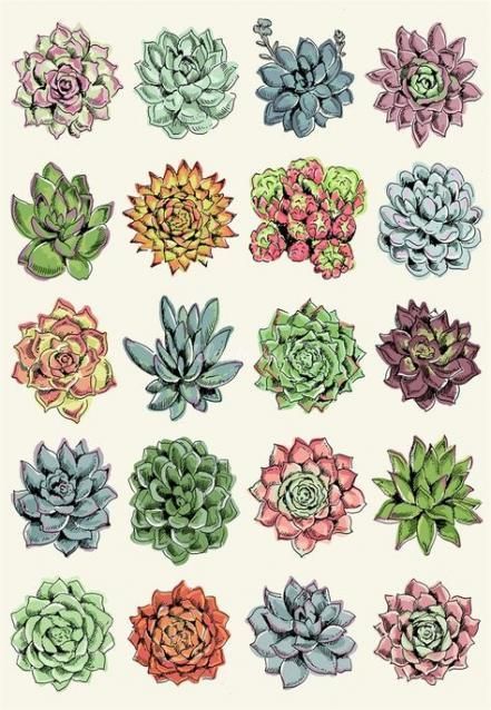 50 Ideas Plants Aesthetic Sticker -   12 plants Art aesthetic ideas