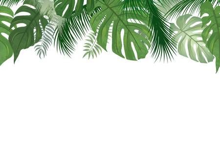 Floral seamless pattern. Tropical leaves background. Palm tree.. -   13 plants Background palm trees ideas