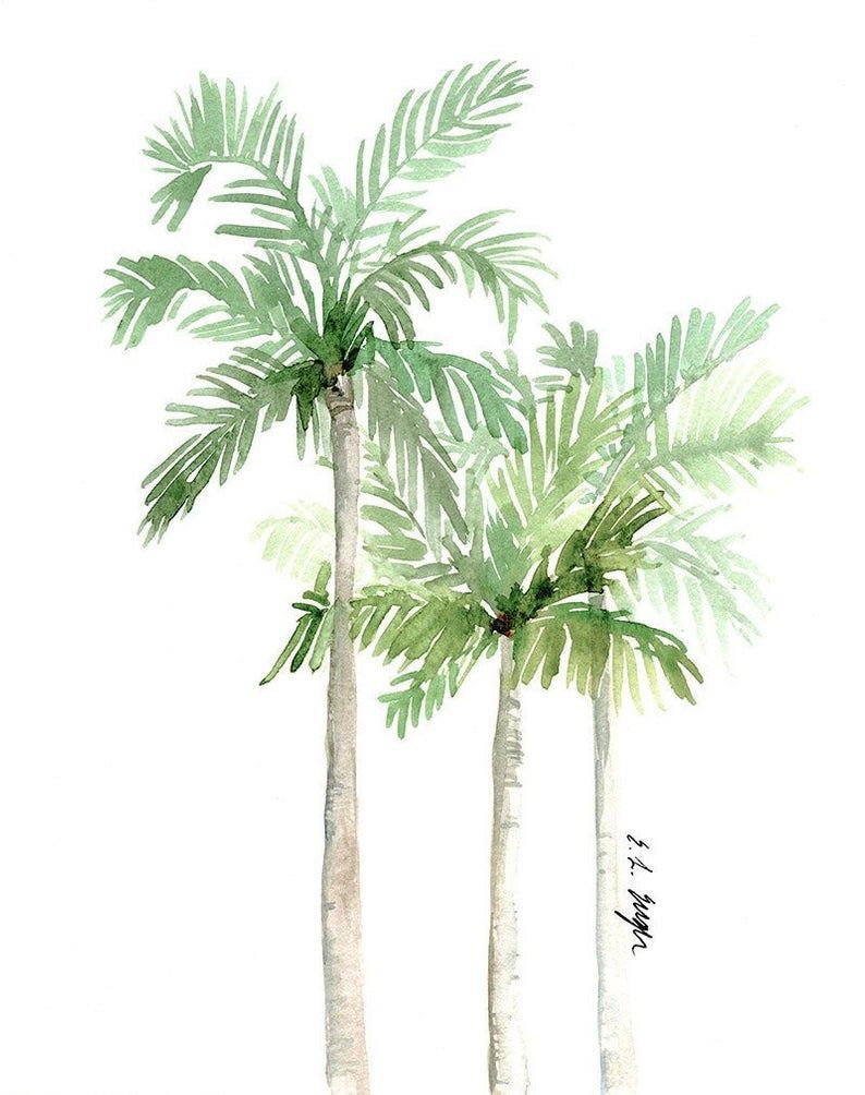 13 plants Background palm trees ideas