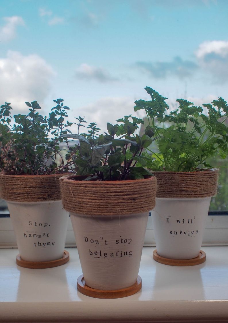 DIY Painted Terracotta Plant Pots – with Herb Puns -   14 plants Potted upcycle ideas