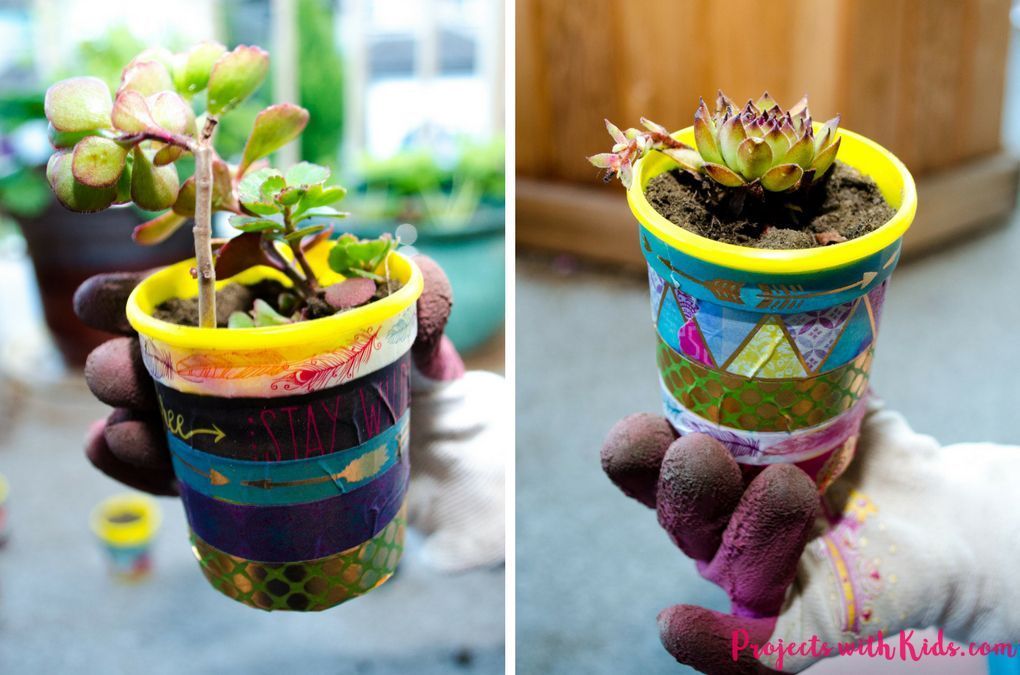 Mini Plant Pots - an Easy Upcycle Craft for Kids -   14 plants Potted upcycle ideas
