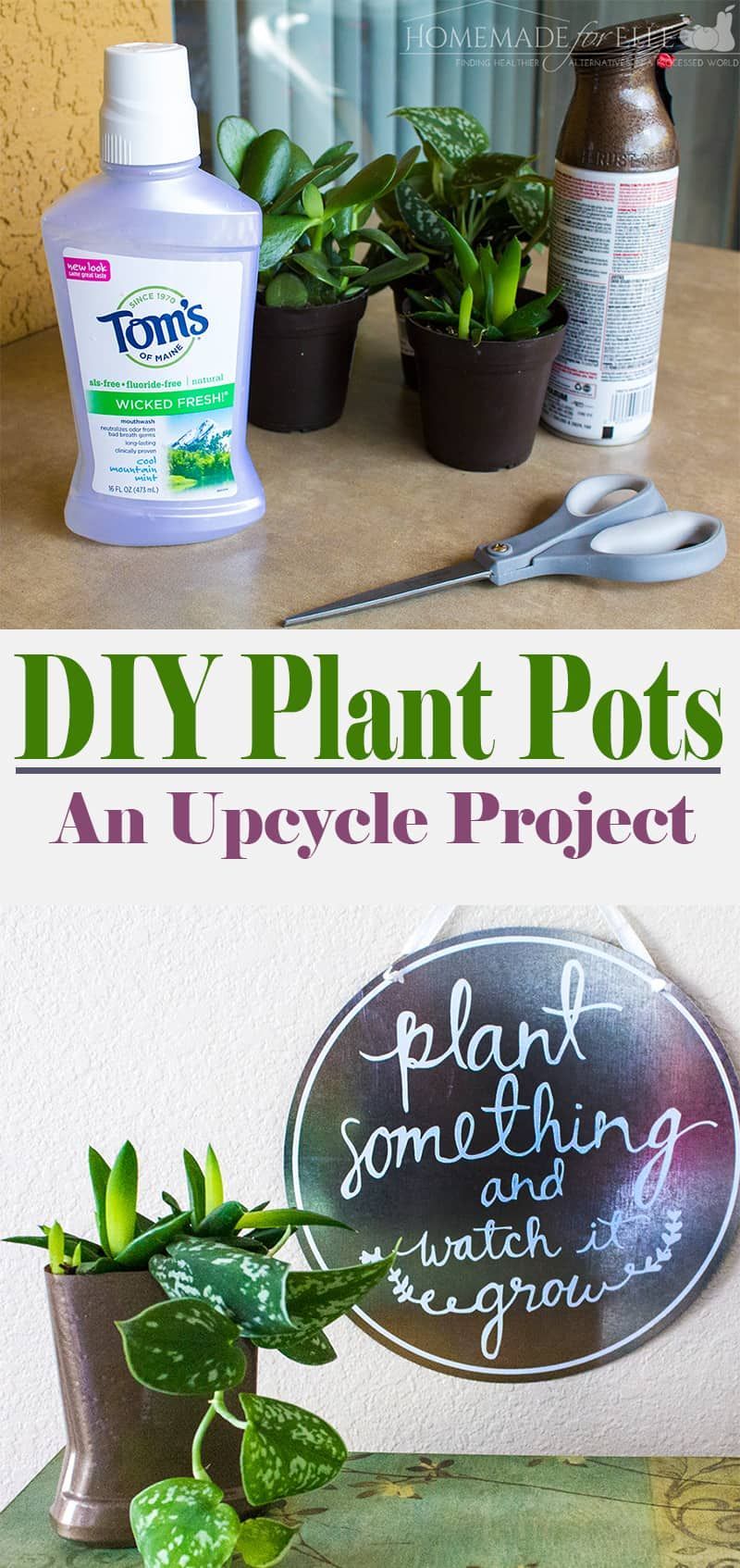 DIY Plant Pots -   14 plants Potted upcycle ideas