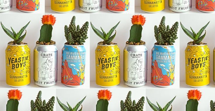 Leftover Drink Cans? Here's The BEST Way To Reuse Them -   14 plants Potted upcycle ideas