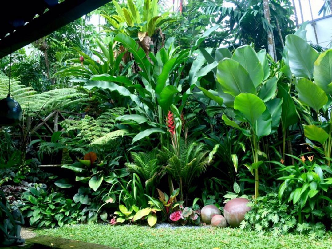 25+ Perfect Tropical Landscaping Ideas To Make Your Own Beautiful Garden -   14 tropical plants Landscaping ideas