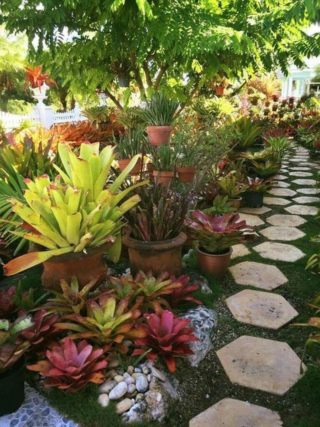20+ Wonderful Tropical Landscaping Ideas For Garden -   14 tropical plants Landscaping ideas