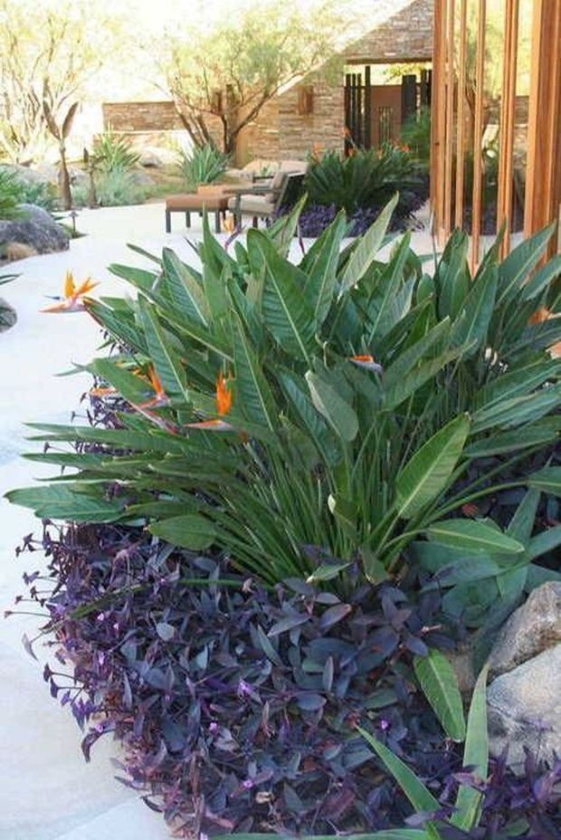 84 Ideas About The Ultimate Tropical Landscaping -   14 tropical plants Landscaping ideas