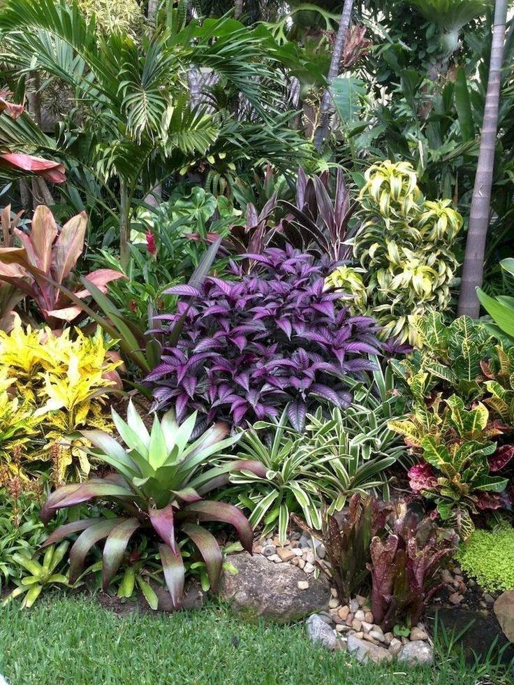 вњ”43 beautiful tropical front yard landscape ideas for your home 8 -   14 tropical plants Landscaping ideas