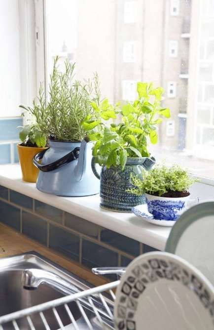 62+ Ideas Kitchen Window Sill Plants Home For 2019 -   16 plants Art window ideas
