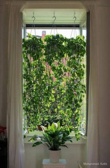 New Plants Indoor Apartment Design Window Ideas -   16 plants Art window ideas