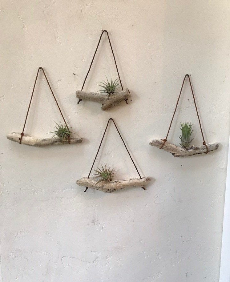 16 plants Art window ideas